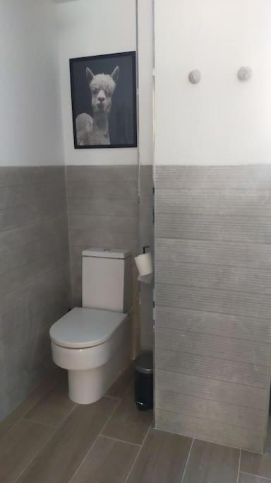 Apartamento Laurana Santander Buitenkant foto